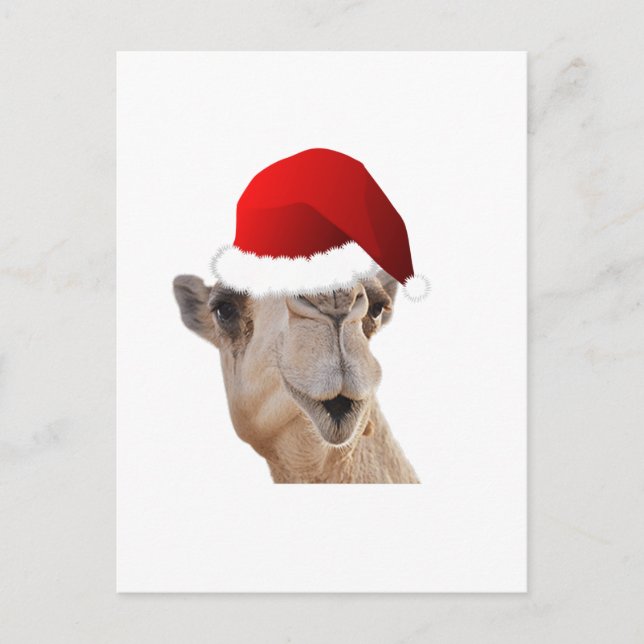 Hump Day Camel Santa Claus Hat Holiday Postcard (Front)