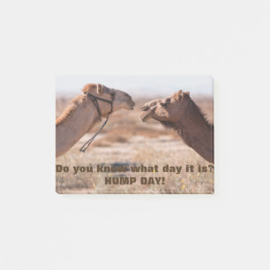 Hump Day Camels Post-it Notes