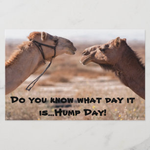 Hump Day Camels Stationery