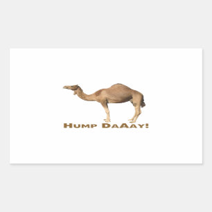 Hump day rectangular sticker