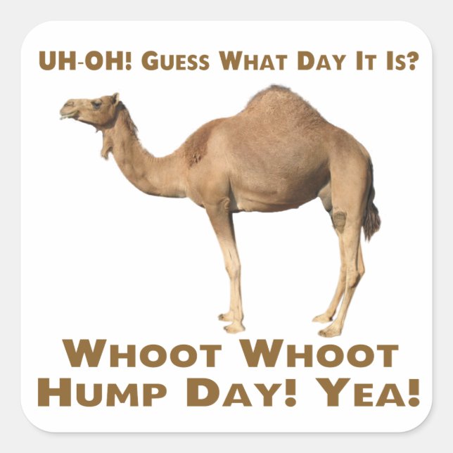 Hump Day Square Sticker (Front)