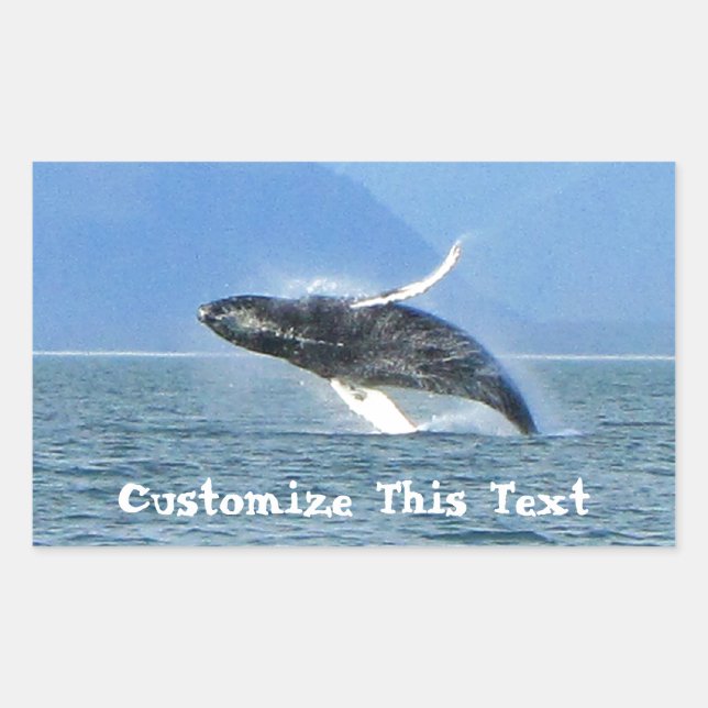 Humpback Acrobat; Customisable Rectangular Sticker (Front)