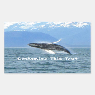 Humpback Acrobat; Customisable Rectangular Sticker