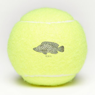 Humpback grouper fish cartoon illustration tennis balls
