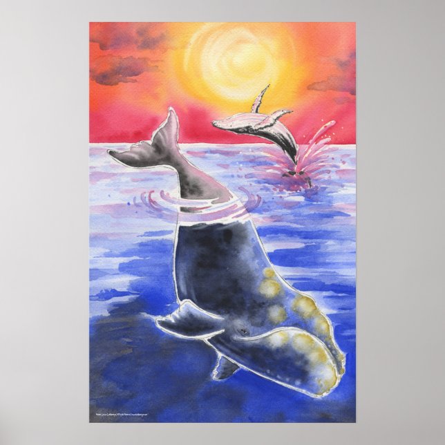 Humpback Right Whale sunset ocean Poster (Front)