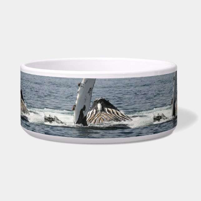 Humpback Whale (Front)