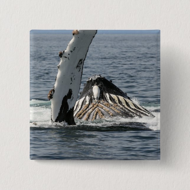 Humpback Whale 15 Cm Square Badge (Front)