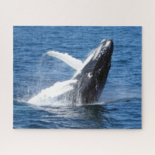 Humpback Whale Alaska Jigsaw Puzzle (Horizontal)