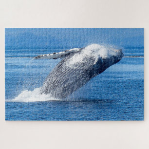 Humpback Whale Alaska Jigsaw Puzzle