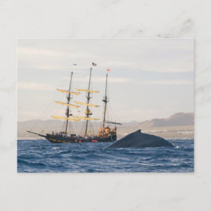 Humpback Whale and Ship Postcard