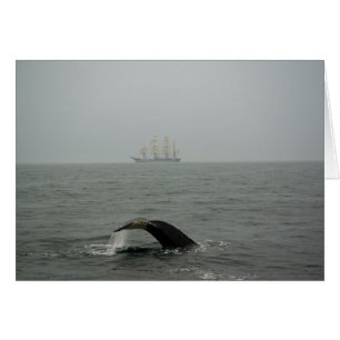Humpback Whale and Tall Ship 2 Card