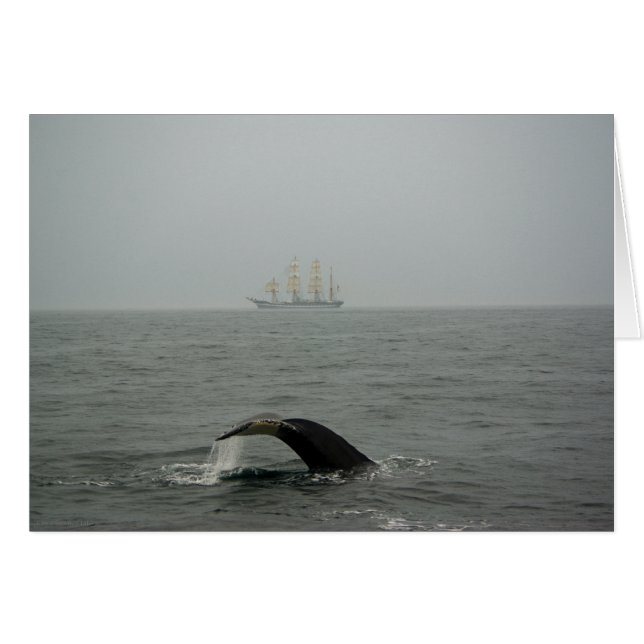 Humpback Whale and Tall Ship 2 Card (Front Horizontal)
