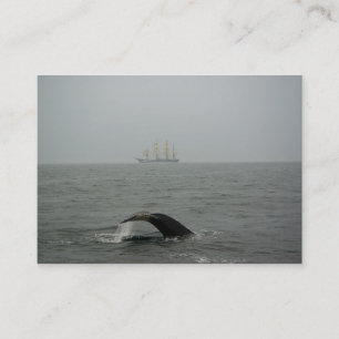 Humpback Whale and Tall Ship 2 Mini Print Business Card