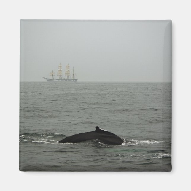 Humpback Whale and Tall Ship Magnet (Front)