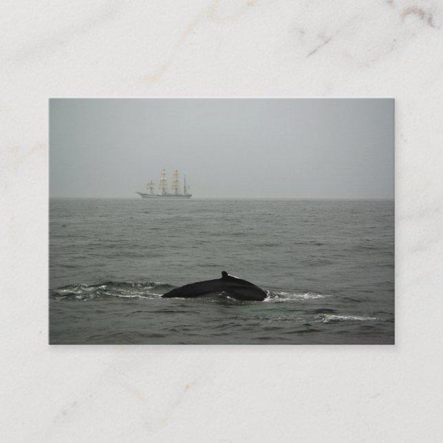 Humpback Whale and Tall Ship Mini Print Business Card (Front)
