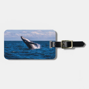 Humpback Whale Breaching Luggage Tag