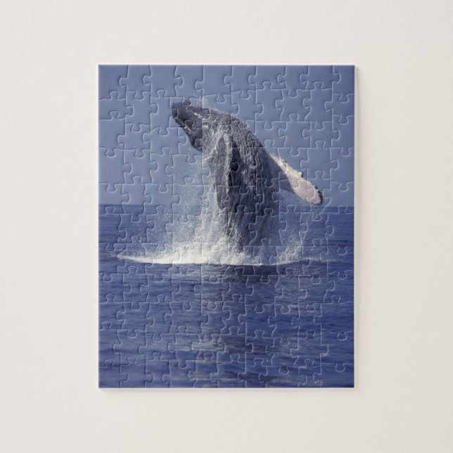 Humpback whale breaching (Megaptera Jigsaw Puzzle (Vertical)