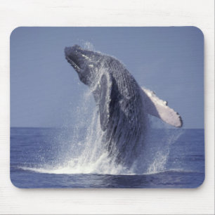 Humpback whale breaching (Megaptera Mouse Pad