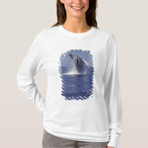 Humpback whale breaching (Megaptera T-Shirt
