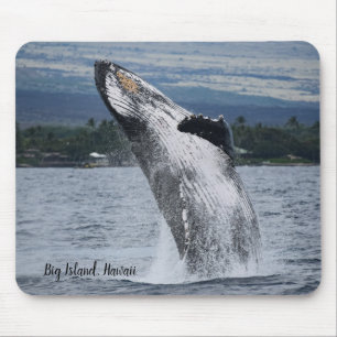 Humpback Whale Breaching Mouse Pad