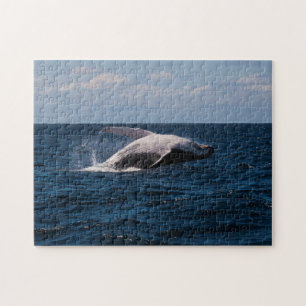 Humpback Whale Breaching Pacific Ocean Jigsaw Puzzle