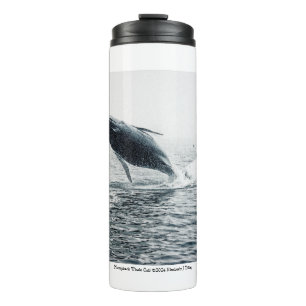Humpback Whale Calf Thermal Tumbler