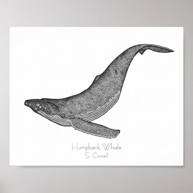 Humpback Whale Dotwork Poster (Front)