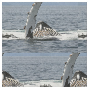 Humpback Whale Fabric