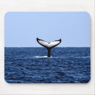 Humpback Whale in Ocean Mouse Pad