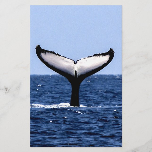 Humpback Whale in Ocean Stationery (Front)