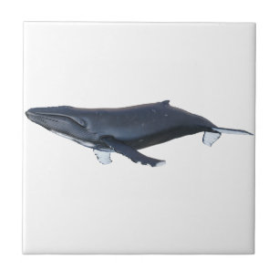 Humpback Whale in Profile Ceramic Tile