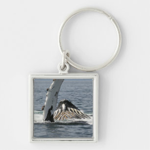 Humpback Whale Key Ring