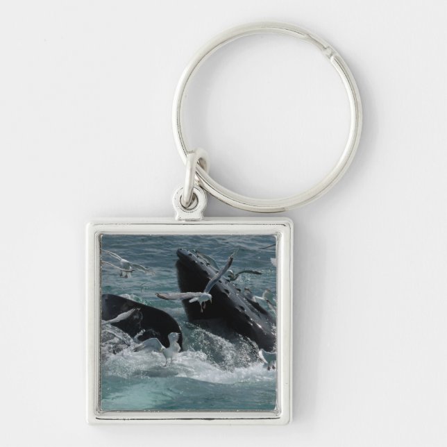 Humpback Whale Keychain (Front)