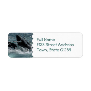 Humpback Whale Mailing Label Return Address Label
