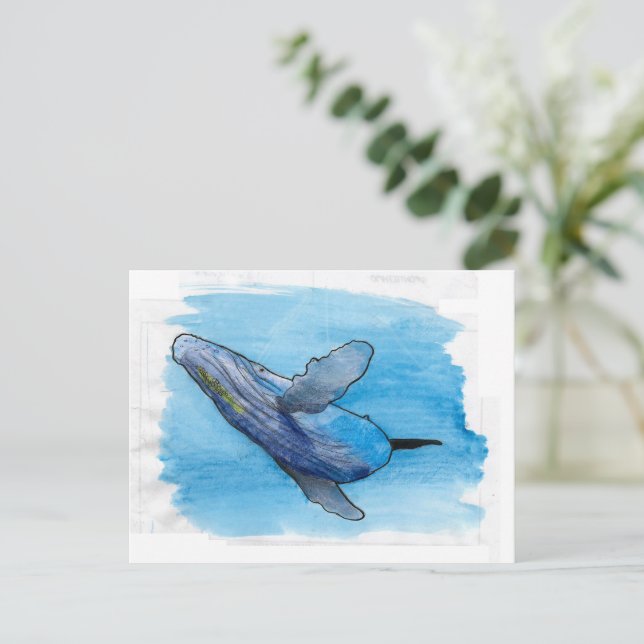 Humpback whale marine animal drawing illustration  postcard (Standing Front)