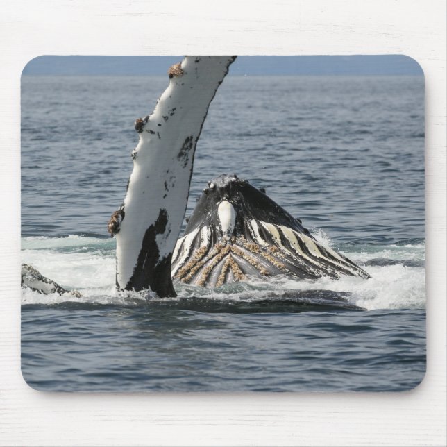 Humpback Whale Mouse Pad (Front)