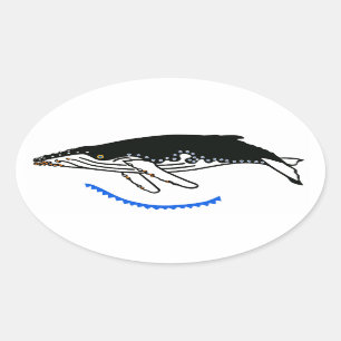 Humpback whale -Oval Stickers