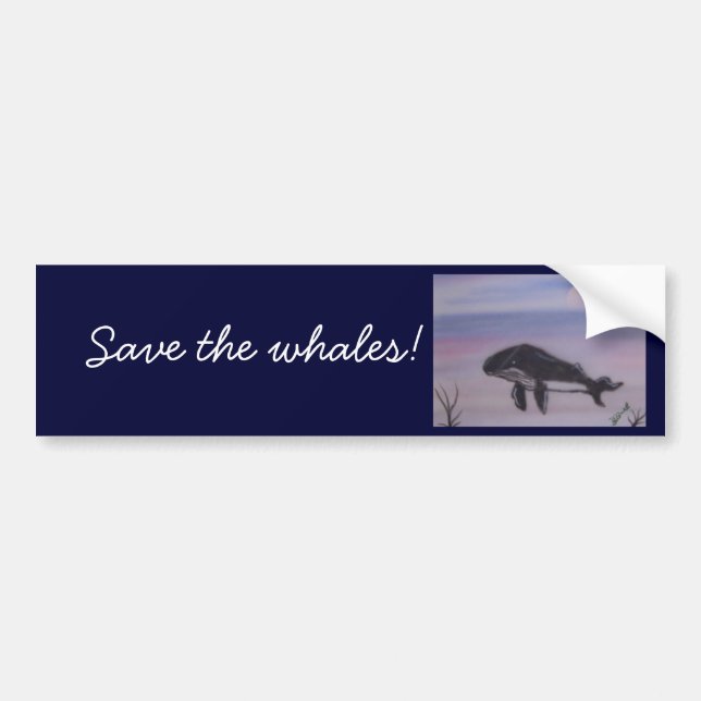 Humpback whale painting bumper sticker (Front)