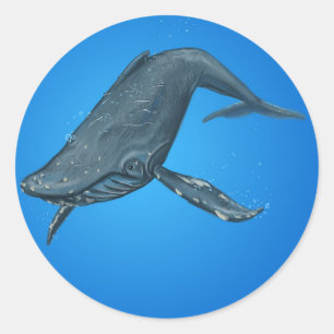 Humpback Whale Painting Classic Round Sticker
