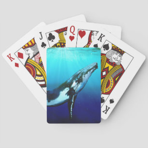 Humpback Whale Playing Cards