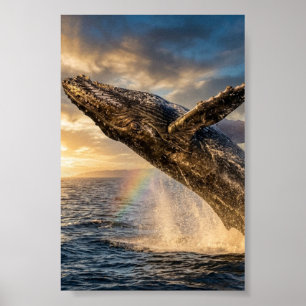 "humpback whale" poster