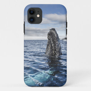 Humpback Whale Spyhops Hope Bay, Antarctica iPhone 11 Case