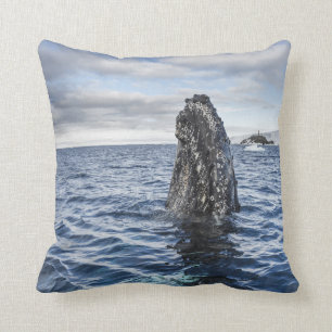 Humpback Whale Spyhops   Hope Bay, Antarctica Cushion