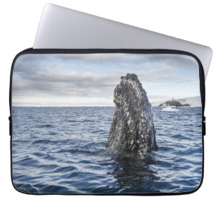 Humpback Whale Spyhops Hope Bay, Antarctica Laptop Sleeve