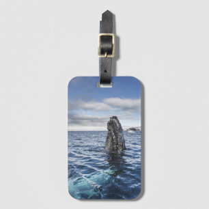 Humpback Whale Spyhops Hope Bay, Antarctica Luggage Tag
