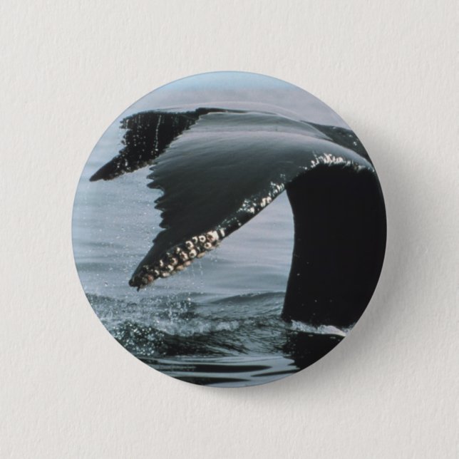 Humpback Whale Tail 6 Cm Round Badge (Front)