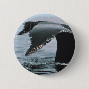 Humpback Whale Tail 6 Cm Round Badge