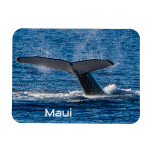 Humpback whale tail flexible magnet 