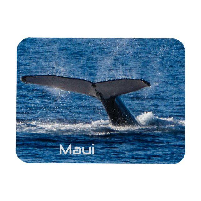 Humpback whale tail flexible magnet  (Horizontal)