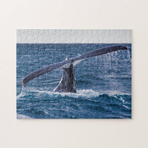 Humpback Whale Tail Fluke Off Surfers Paradise Jigsaw Puzzle